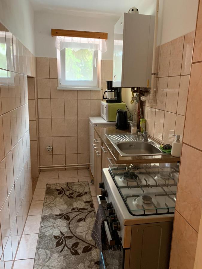 Doublet Apartment Sighişoara Esterno foto